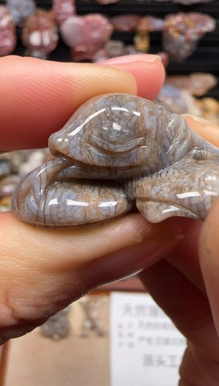 【闪购商品】硅化珊瑚（珊瑚玉）颈饰未镶嵌535