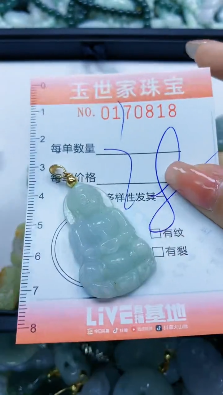 【闪购商品】翡翠颈饰未镶嵌闪购0170818