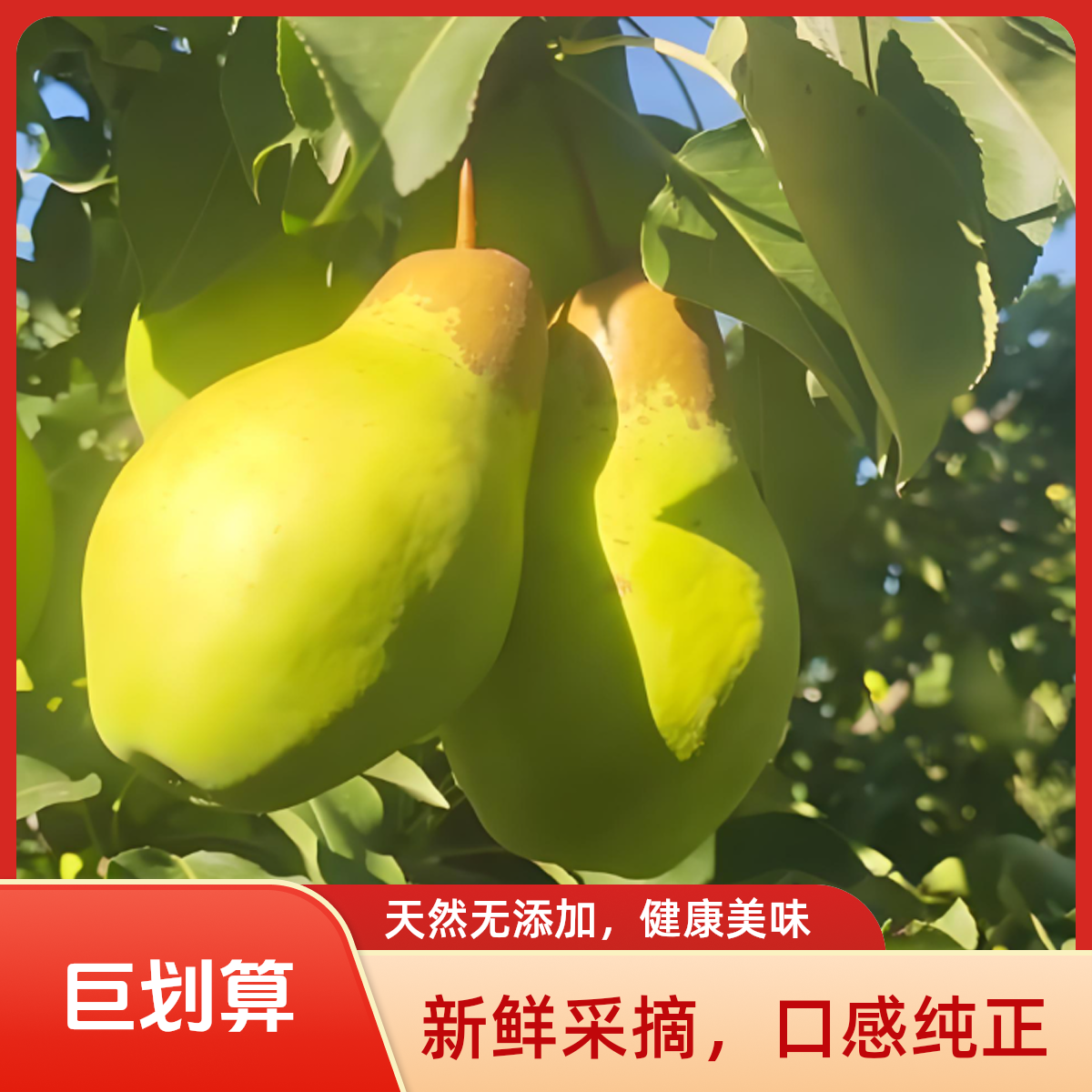 【果园现摘】自产自销梨山自然成长克拉梨软糯香甜（好保存顺丰包邮）