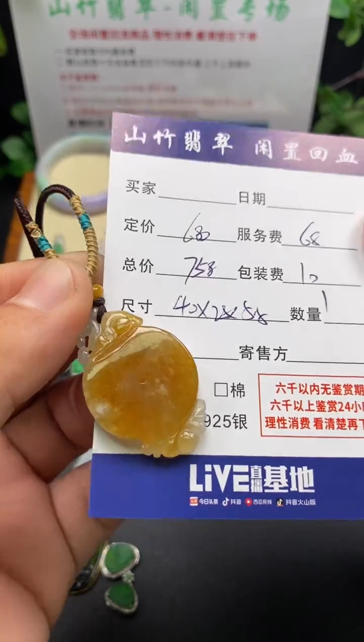 颈饰未镶嵌翡翠3002363