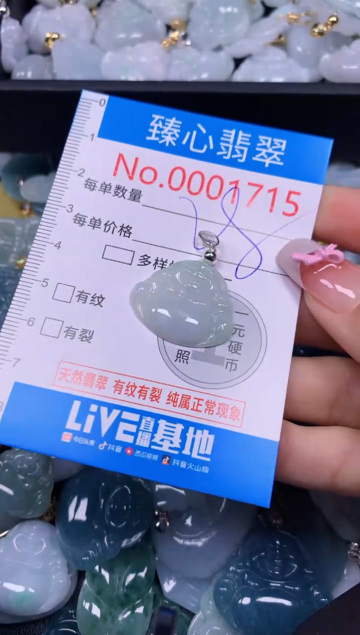 【闪购商品】翡翠颈饰未镶嵌含绳0001715