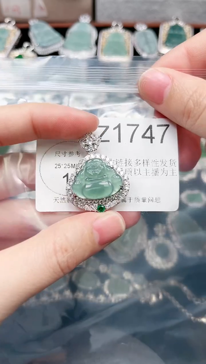 【闪购商品】翡翠颈饰未镶嵌1747赠皮绳