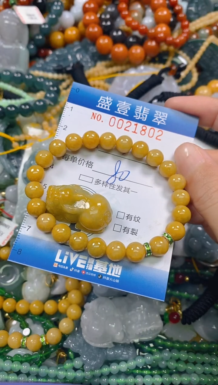 颈饰未镶嵌翡翠J**a闪购0021802