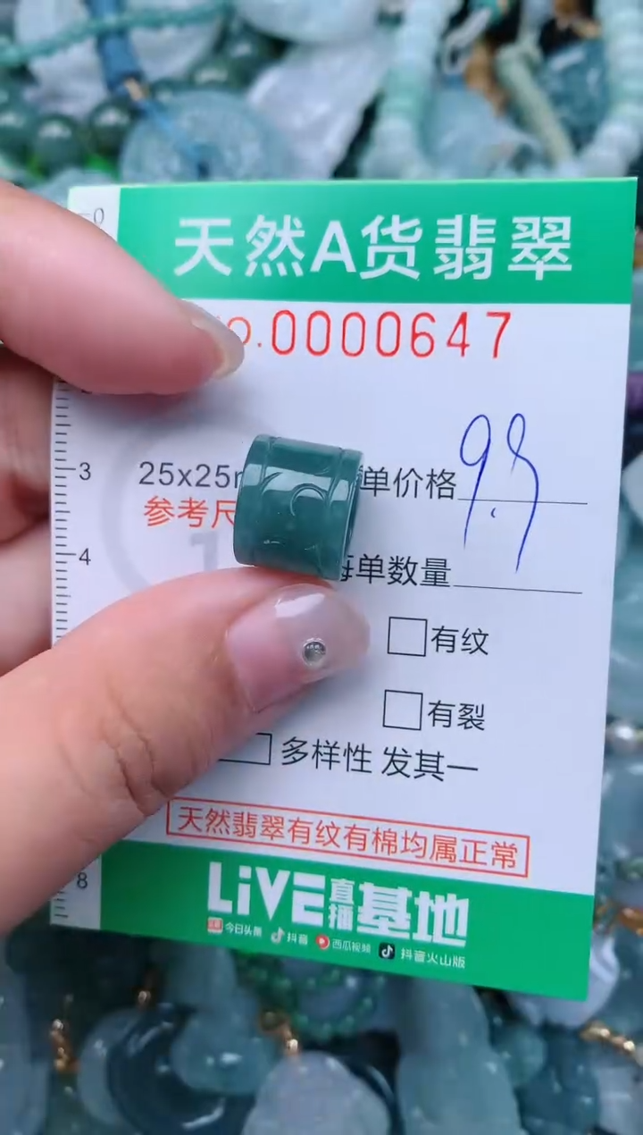 颈饰未镶嵌翡翠.0000647