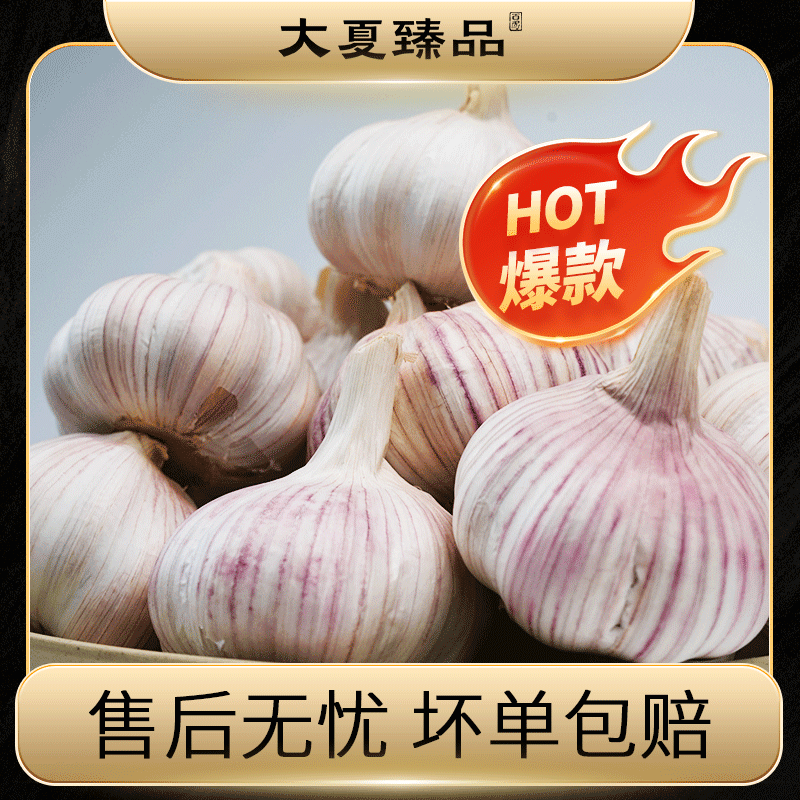【大夏臻品】山东金乡新晒紫白皮干蒜自然晾晒无硫蒜香浓郁家庭常备