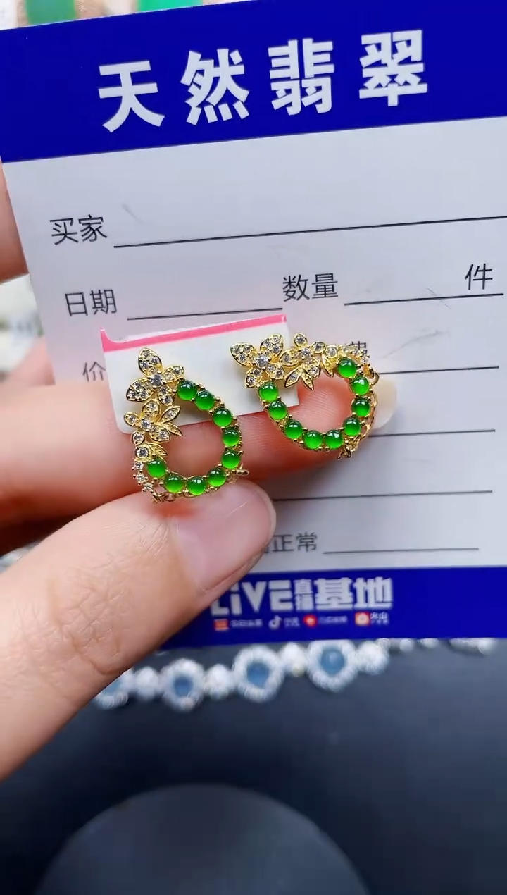 银S925镶嵌翡翠耳饰221