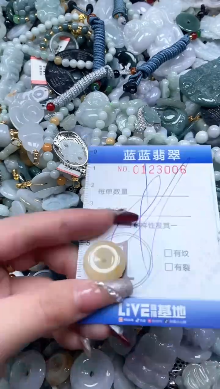 【闪购商品】翡翠颈饰未镶嵌闪购0123006多样性发其一