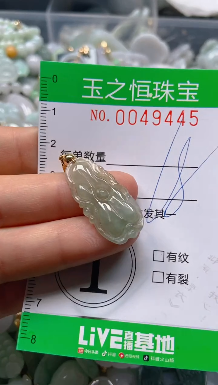 【闪购商品】翡翠颈饰未镶嵌闪购0049445