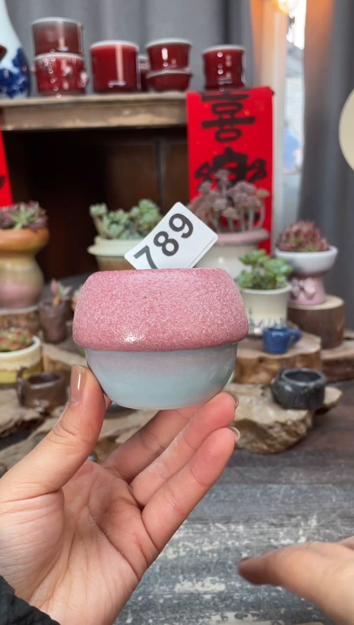 【闪购商品】摆件789知木小芳花盆