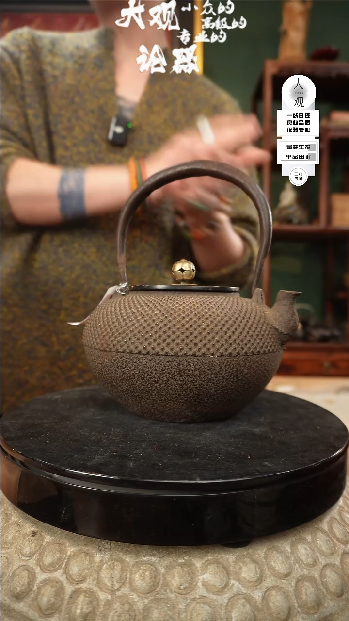 【闪购商品】瓷片大观论器铁壶