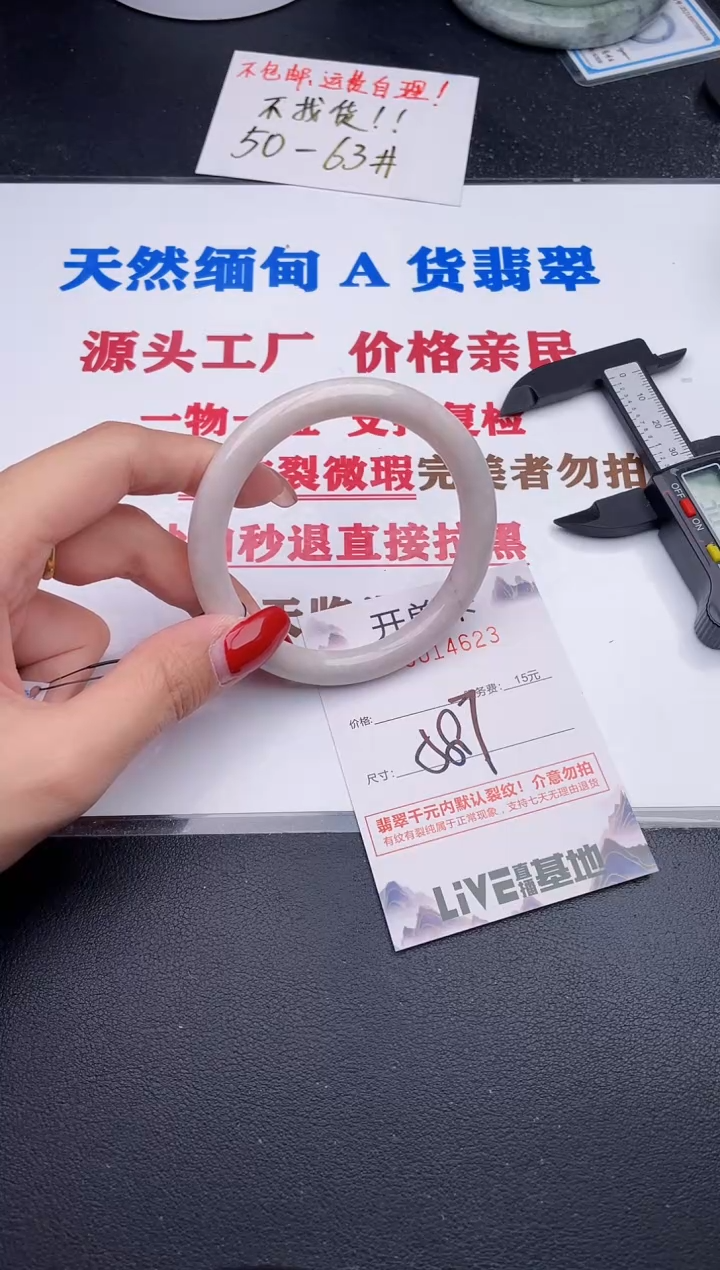未镶嵌手镯翡翠23