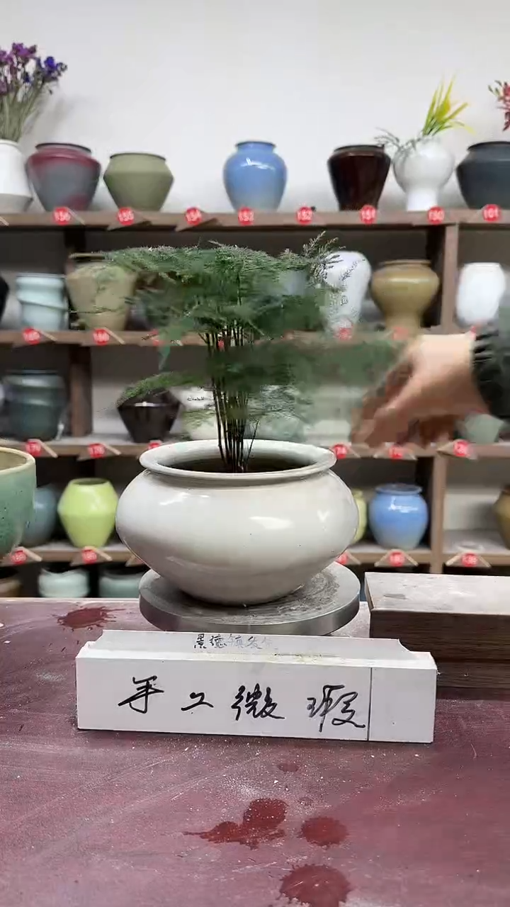 【闪购商品】陶瓷9-高12口12瑕