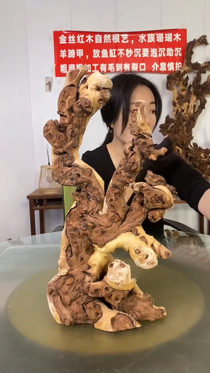 木拾*金丝红木 羊蹄甲