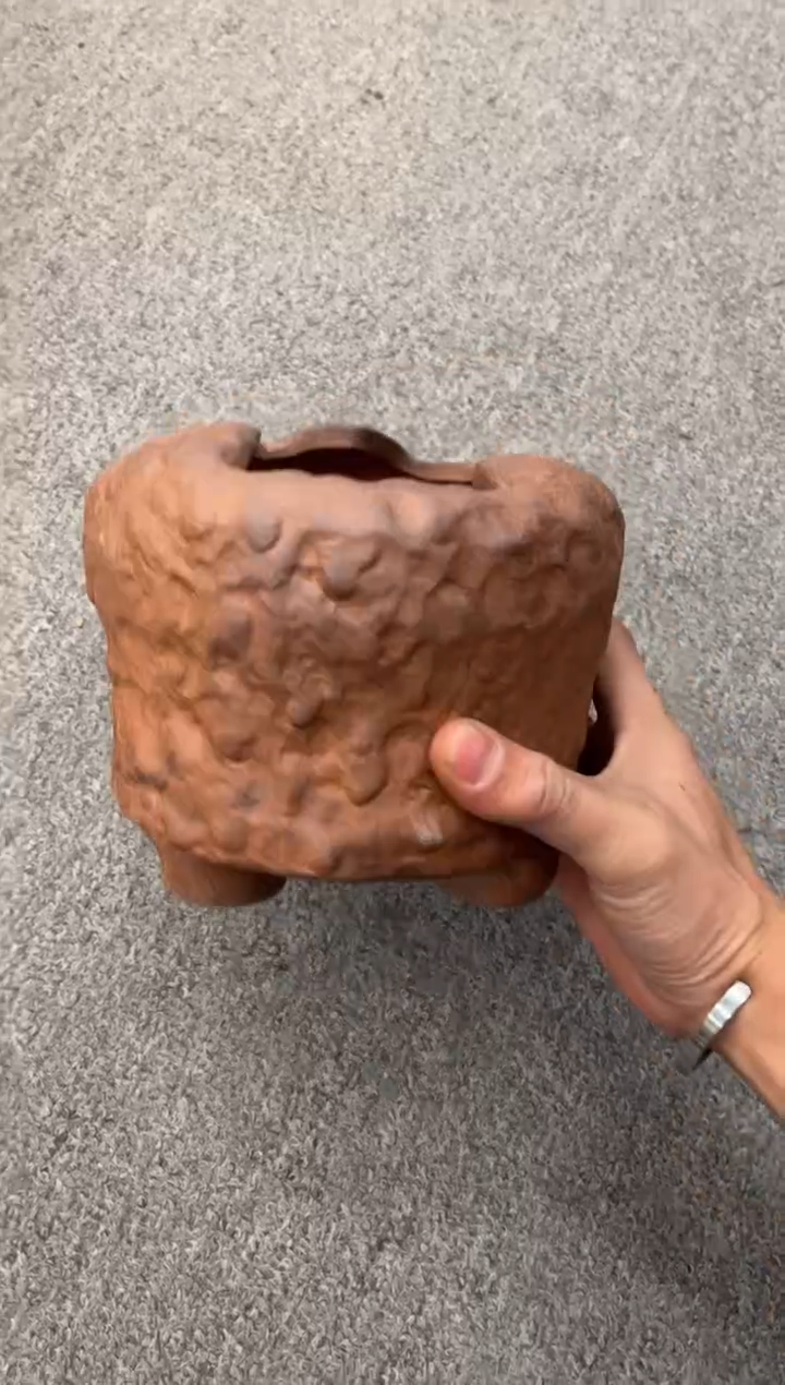 【闪购商品】陶瓷                