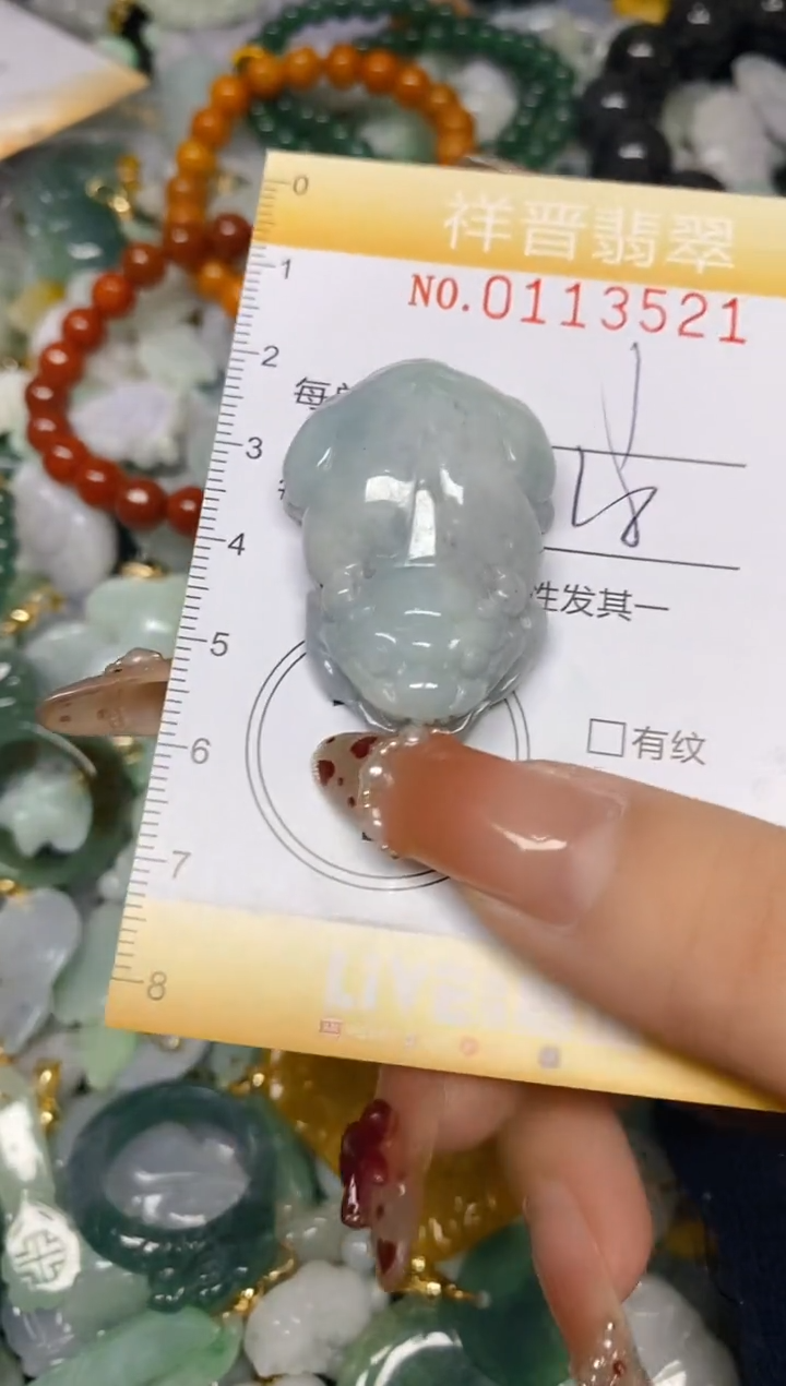 【闪购商品】翡翠颈饰未镶嵌闪购0113521多样性发其一