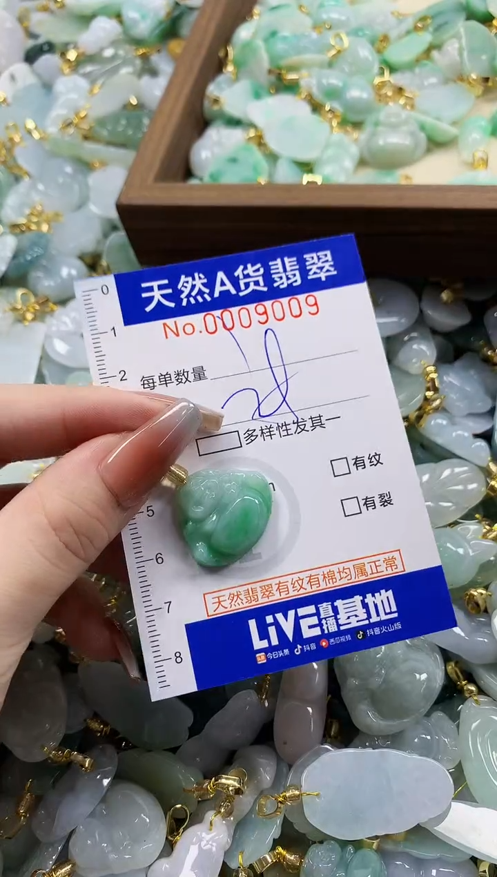 颈饰未镶嵌翡翠天然A货翡翠