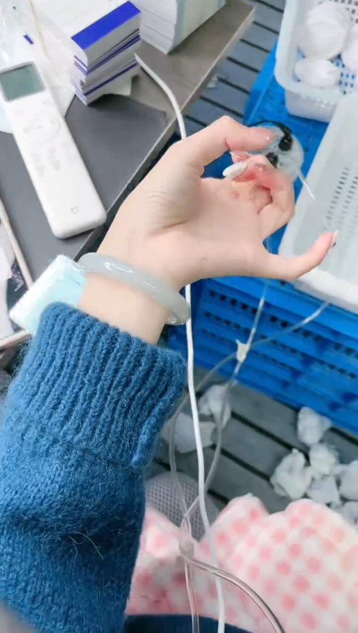 【闪购商品】石英质玉手镯未镶嵌 25J204-58