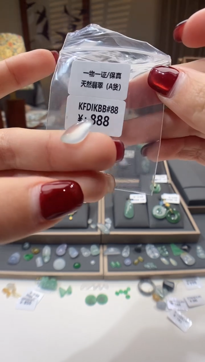 【闪购商品】翡翠颈饰未镶嵌随形