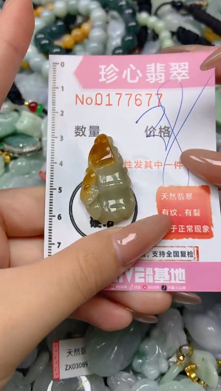 【闪购商品】翡翠颈饰未镶嵌闪购0177677