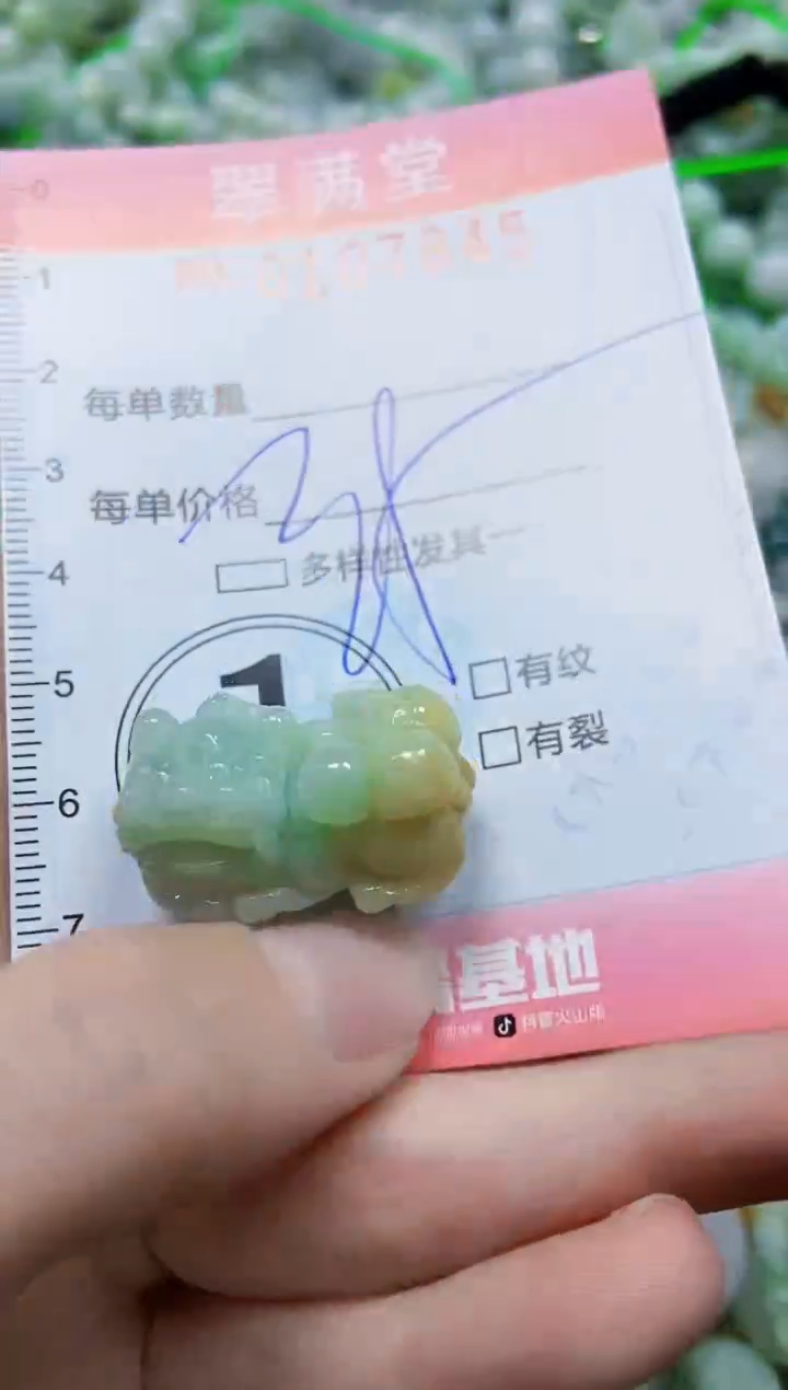 【闪购商品】翡翠颈饰未镶嵌闪购0107845