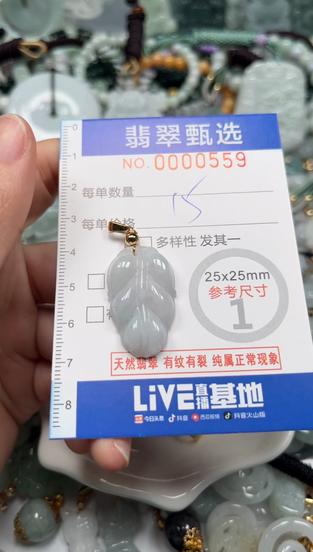 【闪购商品】翡翠颈饰未镶嵌00..0559