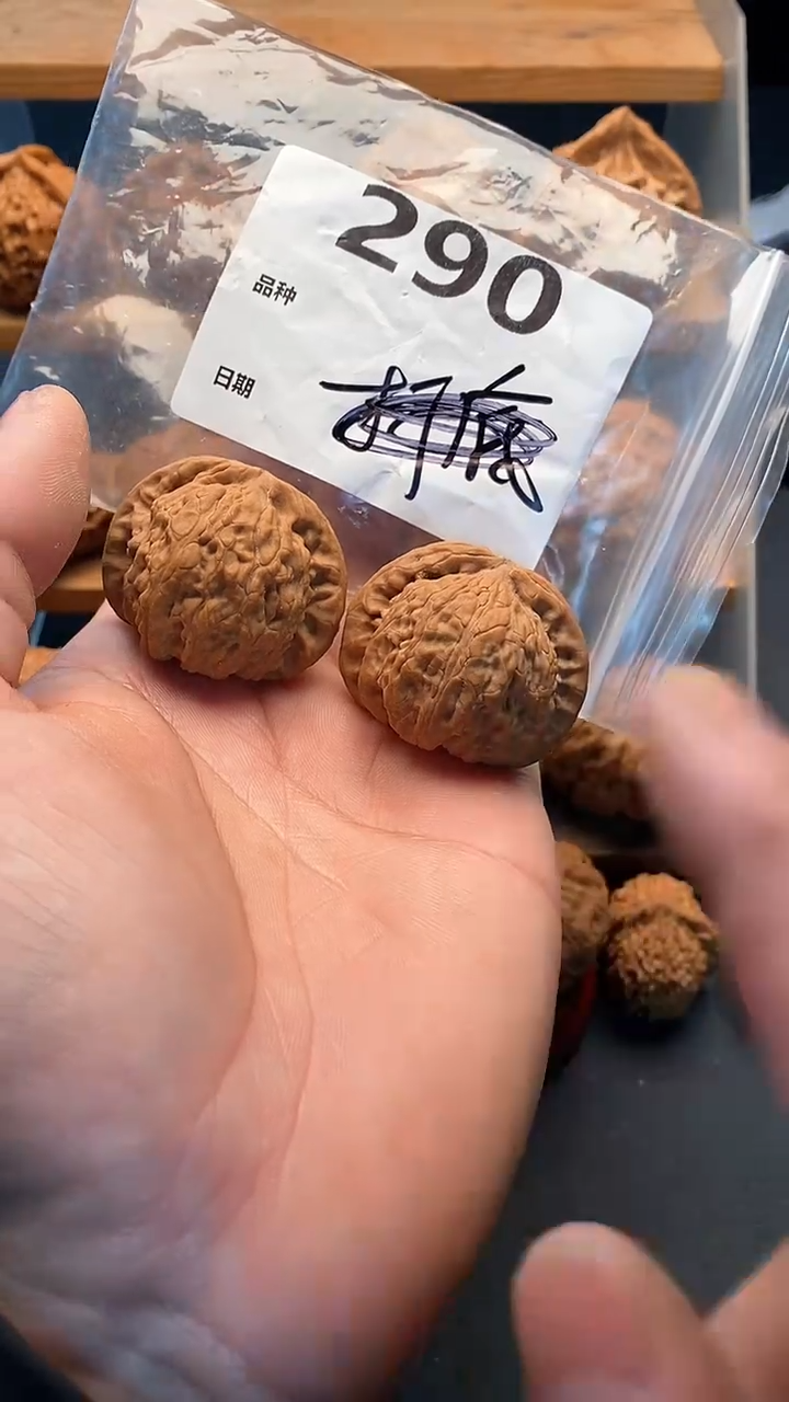 【闪购商品】文玩核桃吊坠290号40尺寸全品闷白