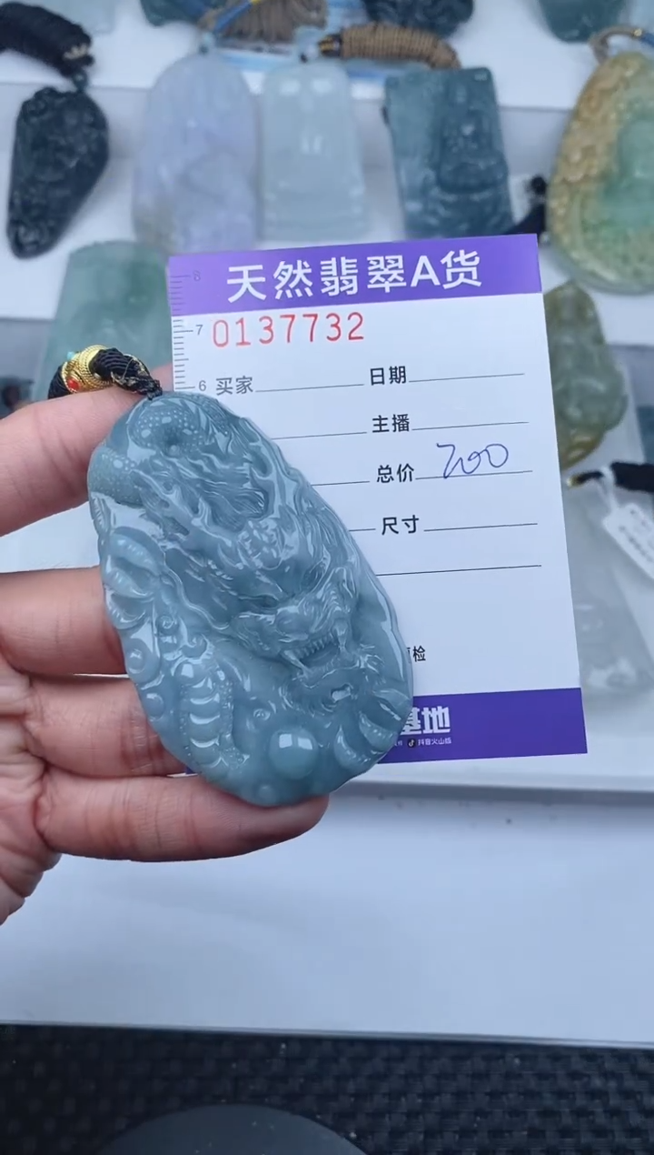 【闪购商品】翡翠颈饰未镶嵌       232