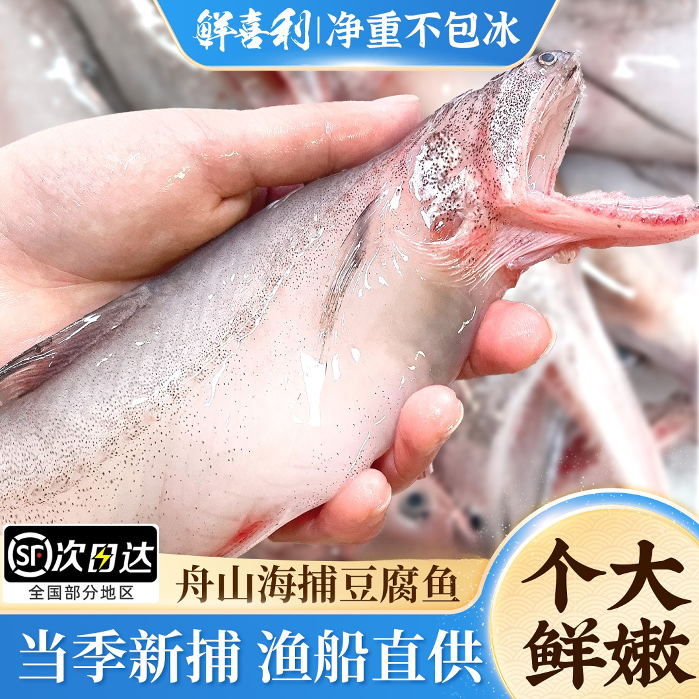 【自家渔场直供】舟山特产新鲜冷冻龙头鱼豆腐鱼九肚鱼水潺生鲜水产商品图