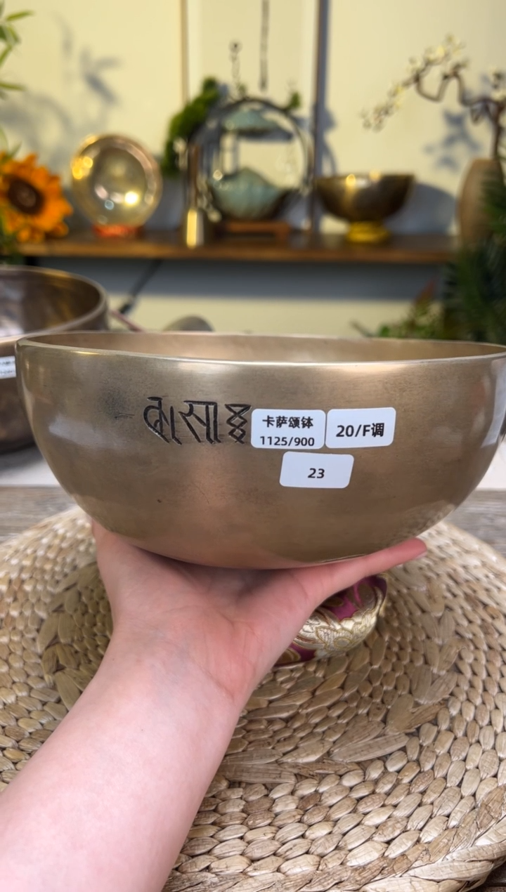 【闪购商品】卡萨口径20CM-F调(无配件)