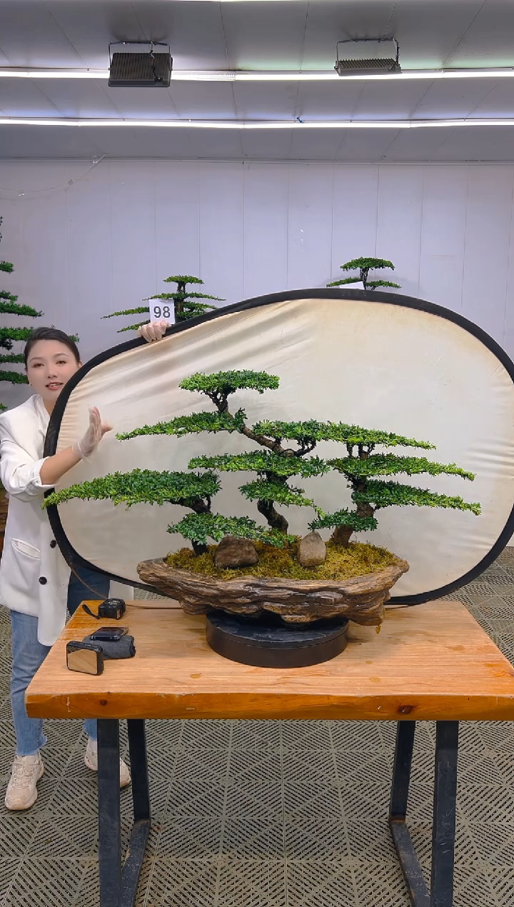 无花朵一物一拍一物一拍