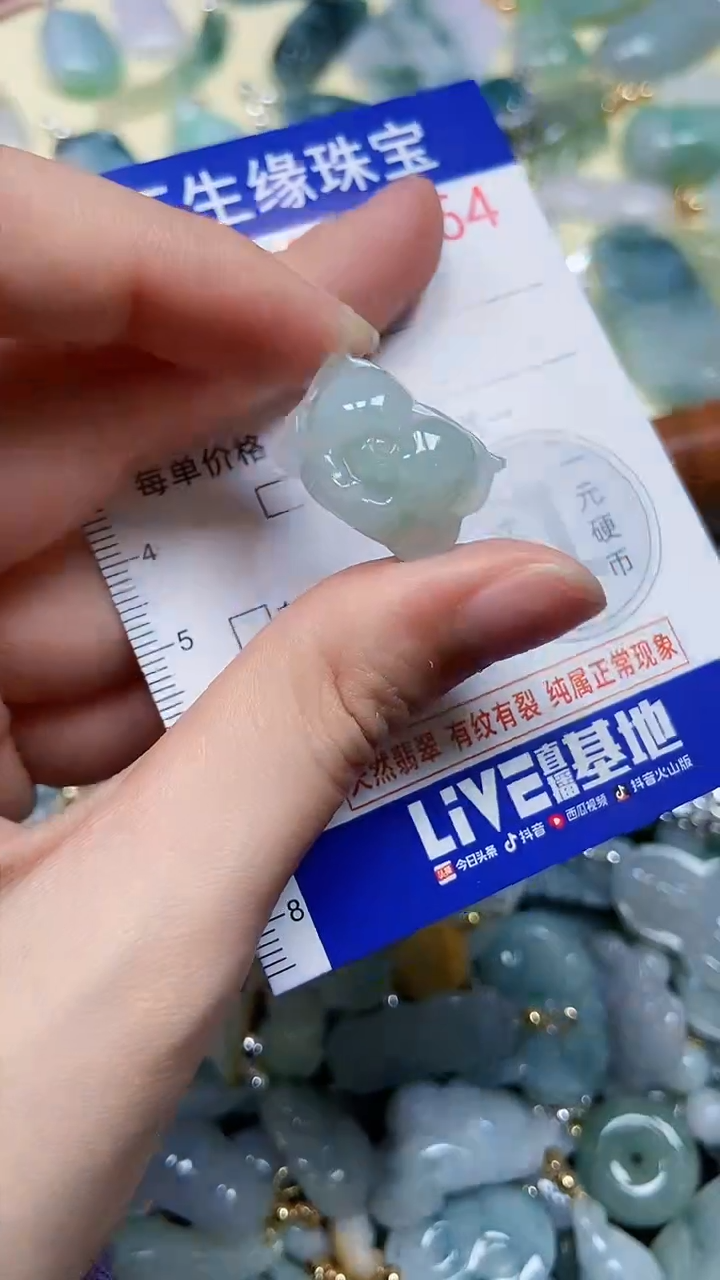 【闪购商品】翡翠颈饰未镶嵌闪购00002364