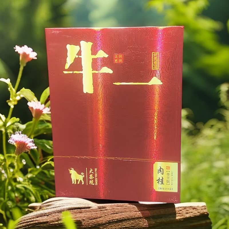 交个朋友丨牛一肉桂茶