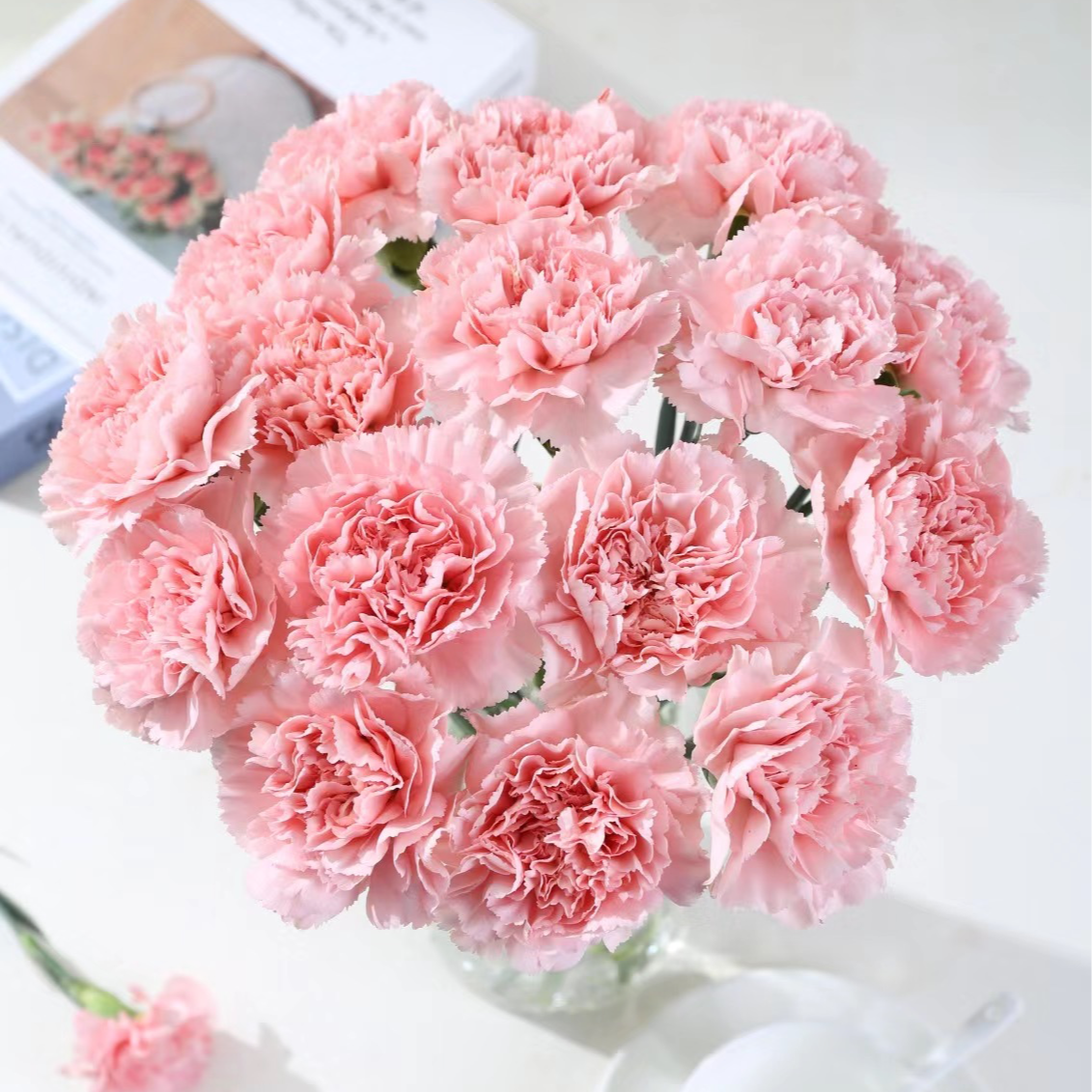 【大聪明卖花】单头康乃馨粉色-任意2单鲜花包邮发货后不支持退款