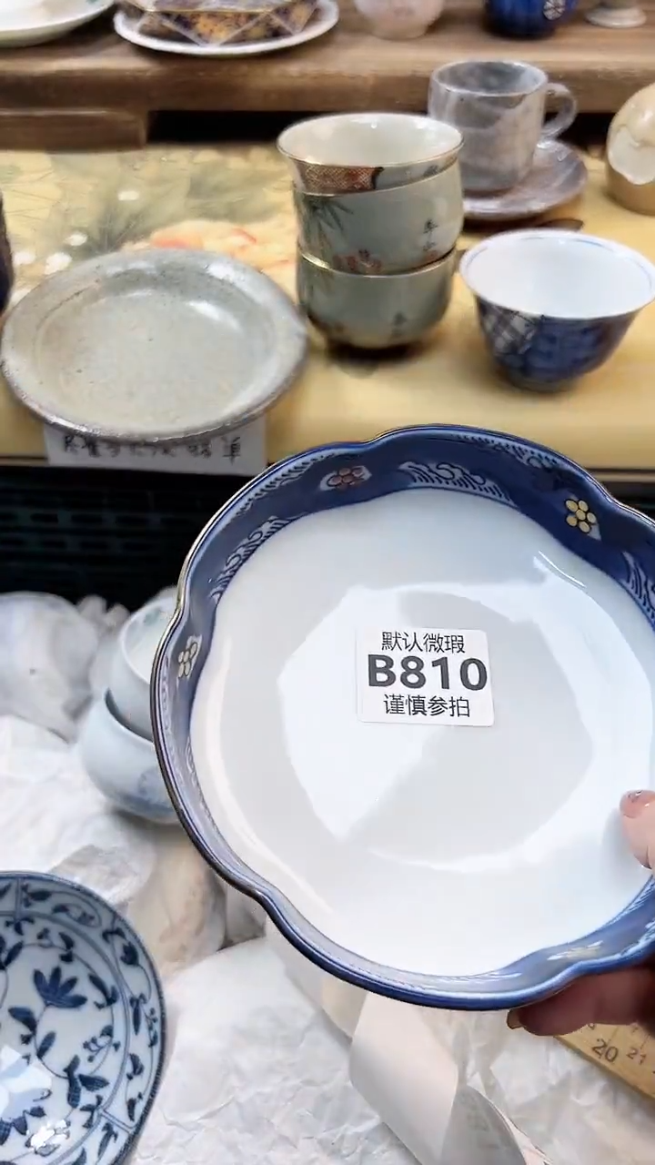 瓷片羽**蓉 810          