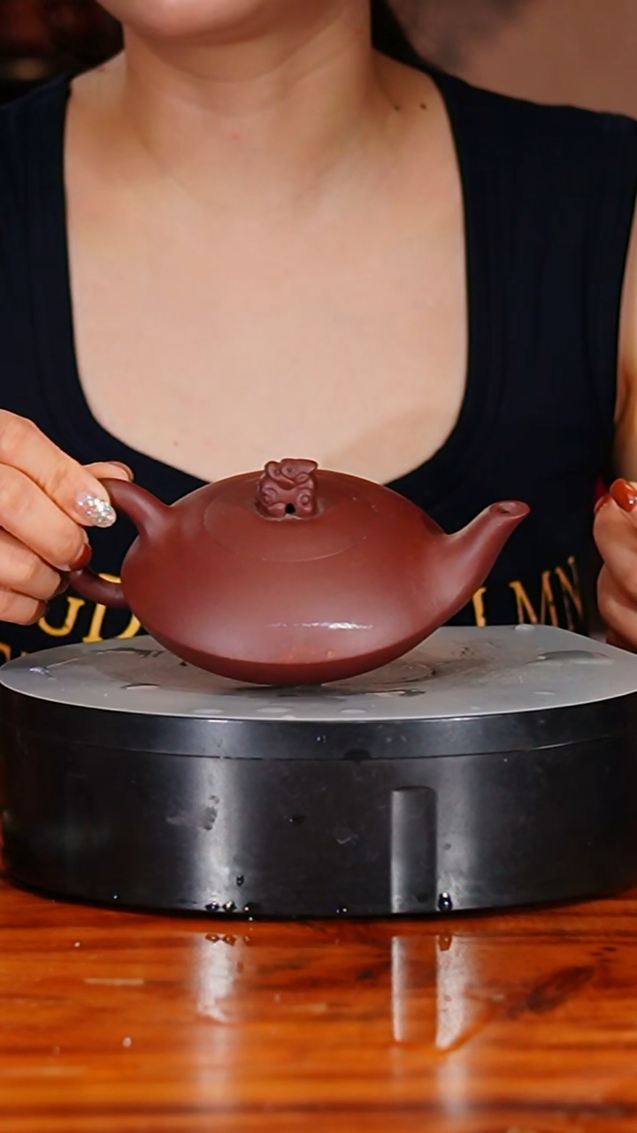 宜兴原矿紫砂壶茶壶230C