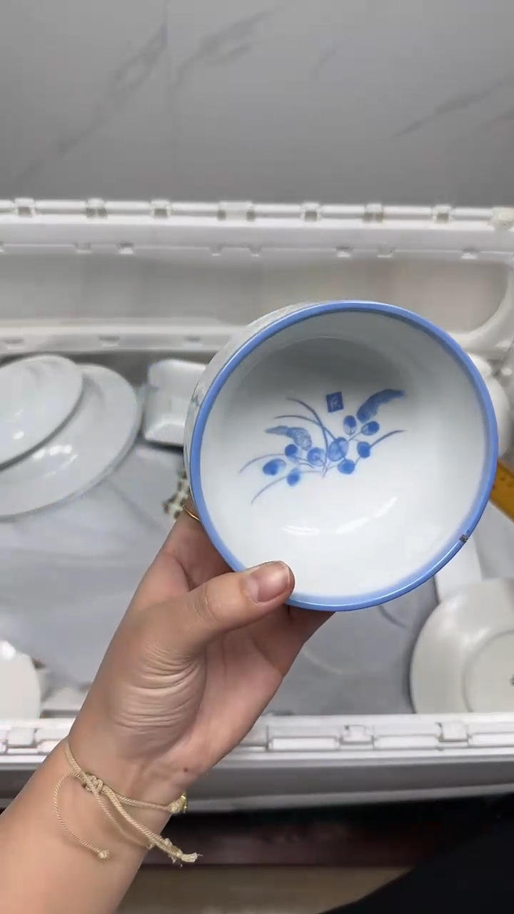 【闪购商品】5101回流瓷器默认微瑕，18.8包邮