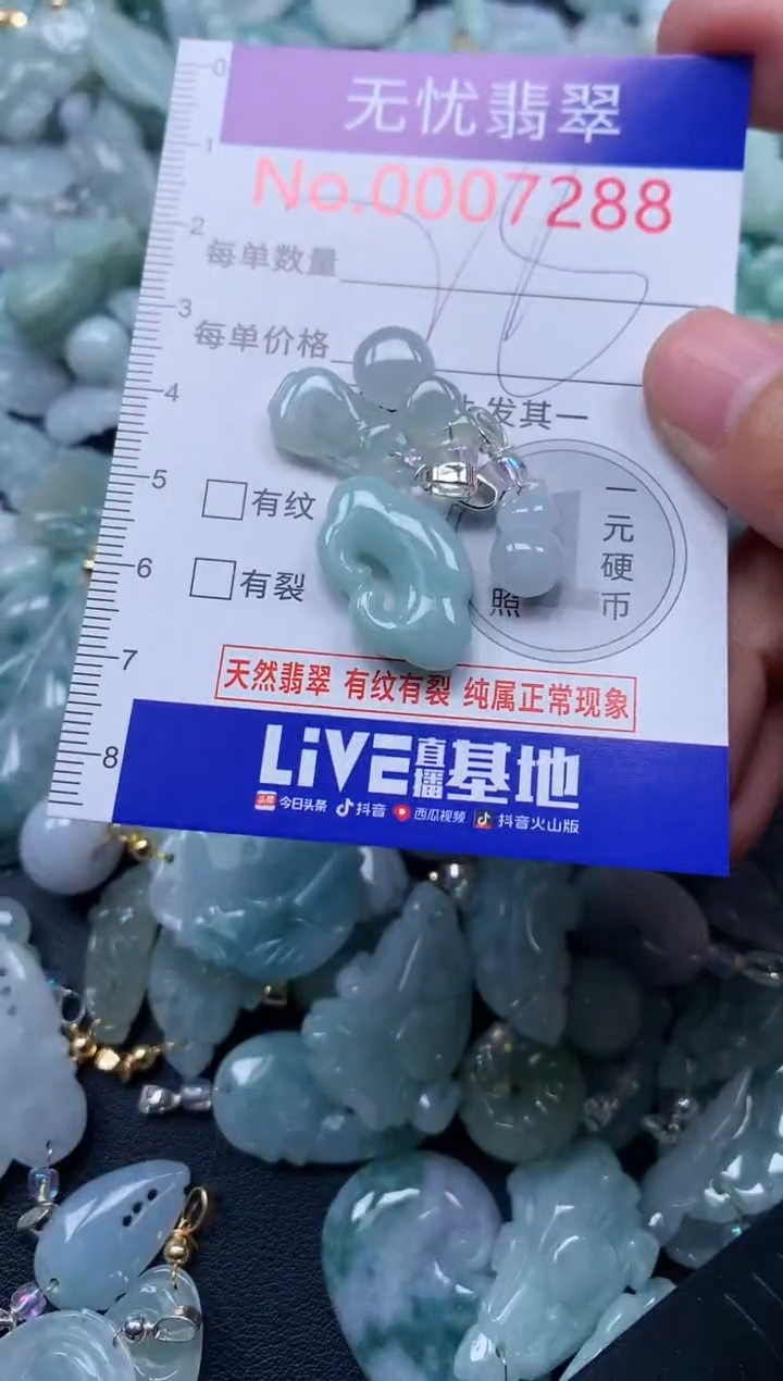 颈饰未镶嵌翡翠7388