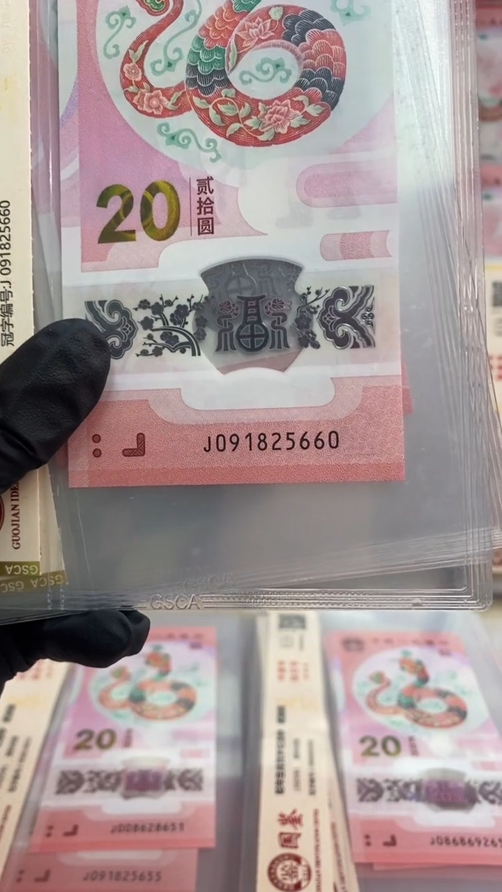 【闪购商品】塑料蛇钞 真钞【单张】5660