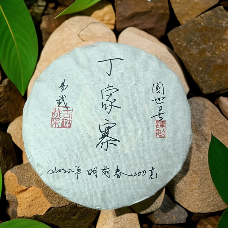 圆世号丁家寨古树挑采200克/饼2022年头春