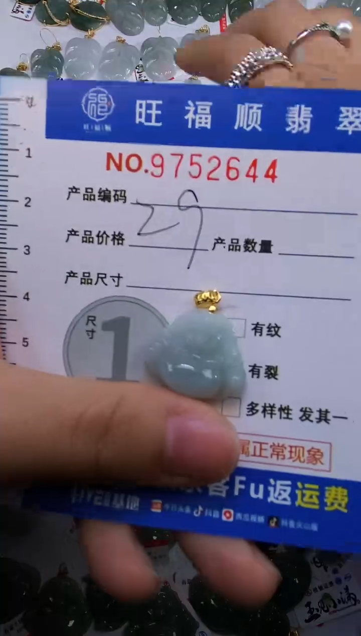 【闪购商品】翡翠颈饰未镶嵌天然缅甸A货翡翠颈饰配绳带礼盒
