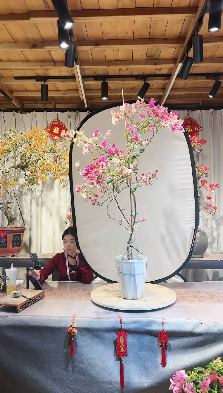 【闪购商品】盆景漳红樱