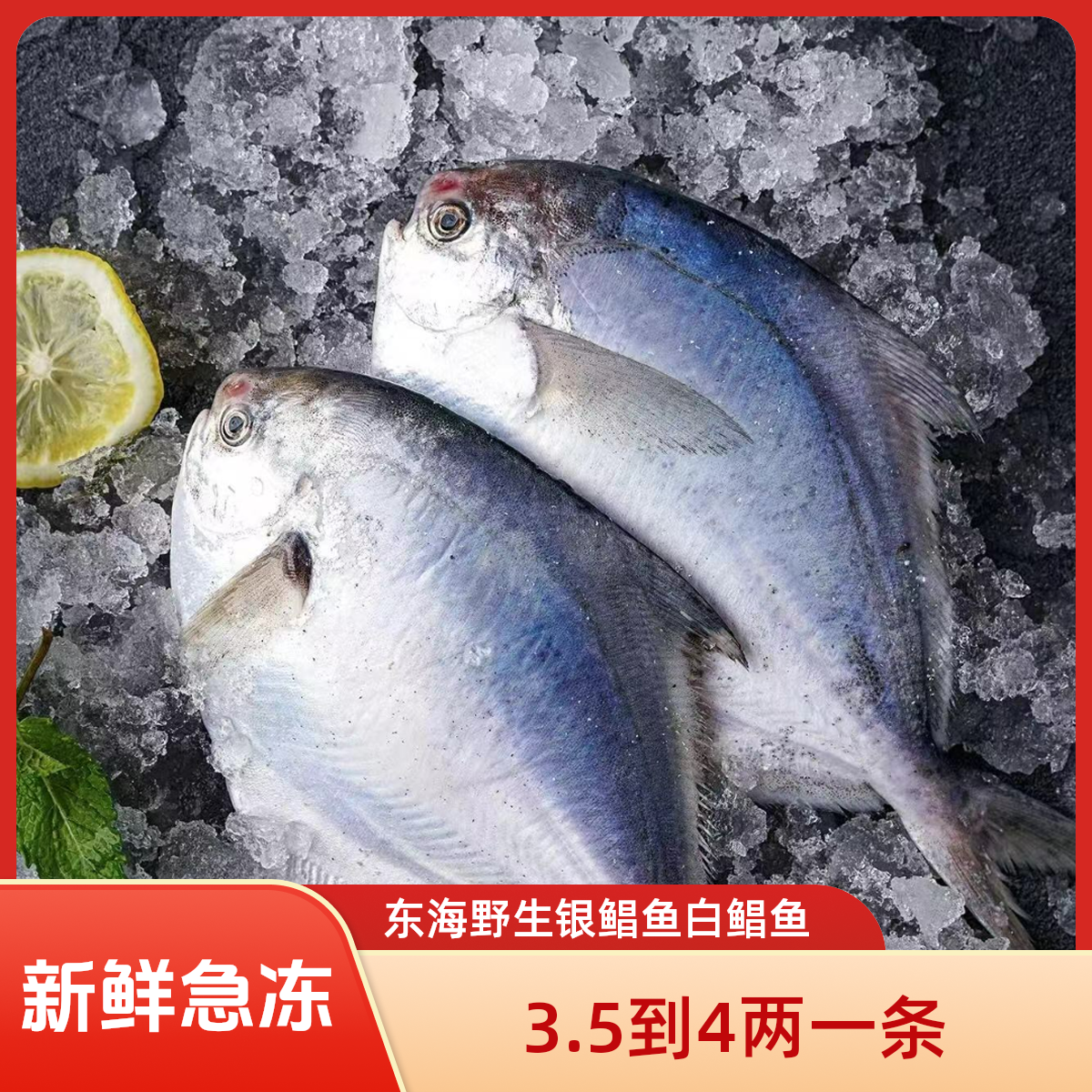 （3.5-4两/条，到手7条，共2.5斤急冻锁鲜顺丰发货）东海舟山银鲳鱼