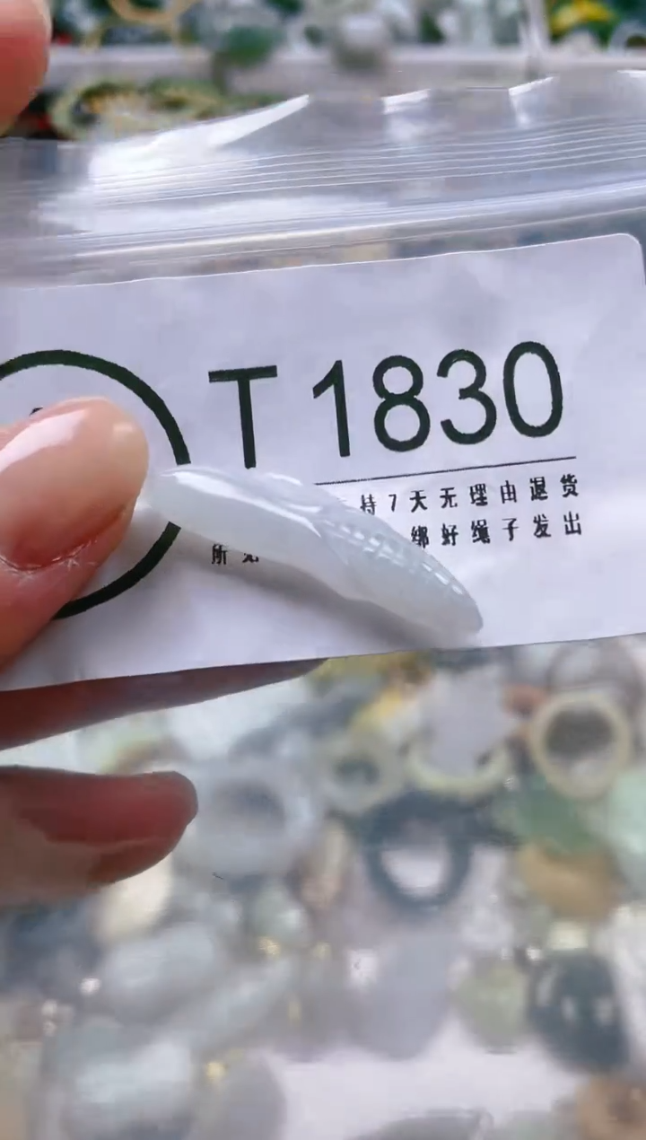 【闪购商品】翡翠颈饰未镶嵌/T/翡翠A货一图一物