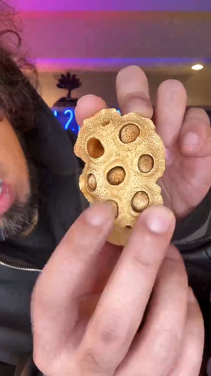 机****Jsample 莲蓬 