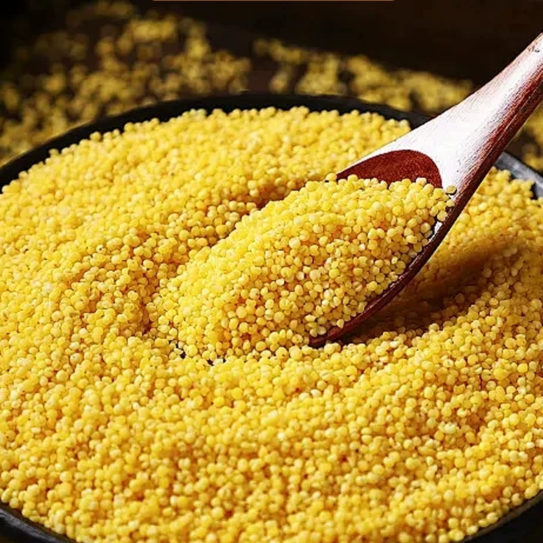 升级装内蒙特产【新米5斤】黄小米月子米宝宝米软糯小米油小米