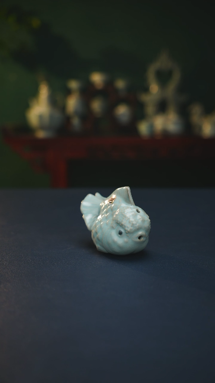 【闪购商品】杯狮头裙尾鱼              