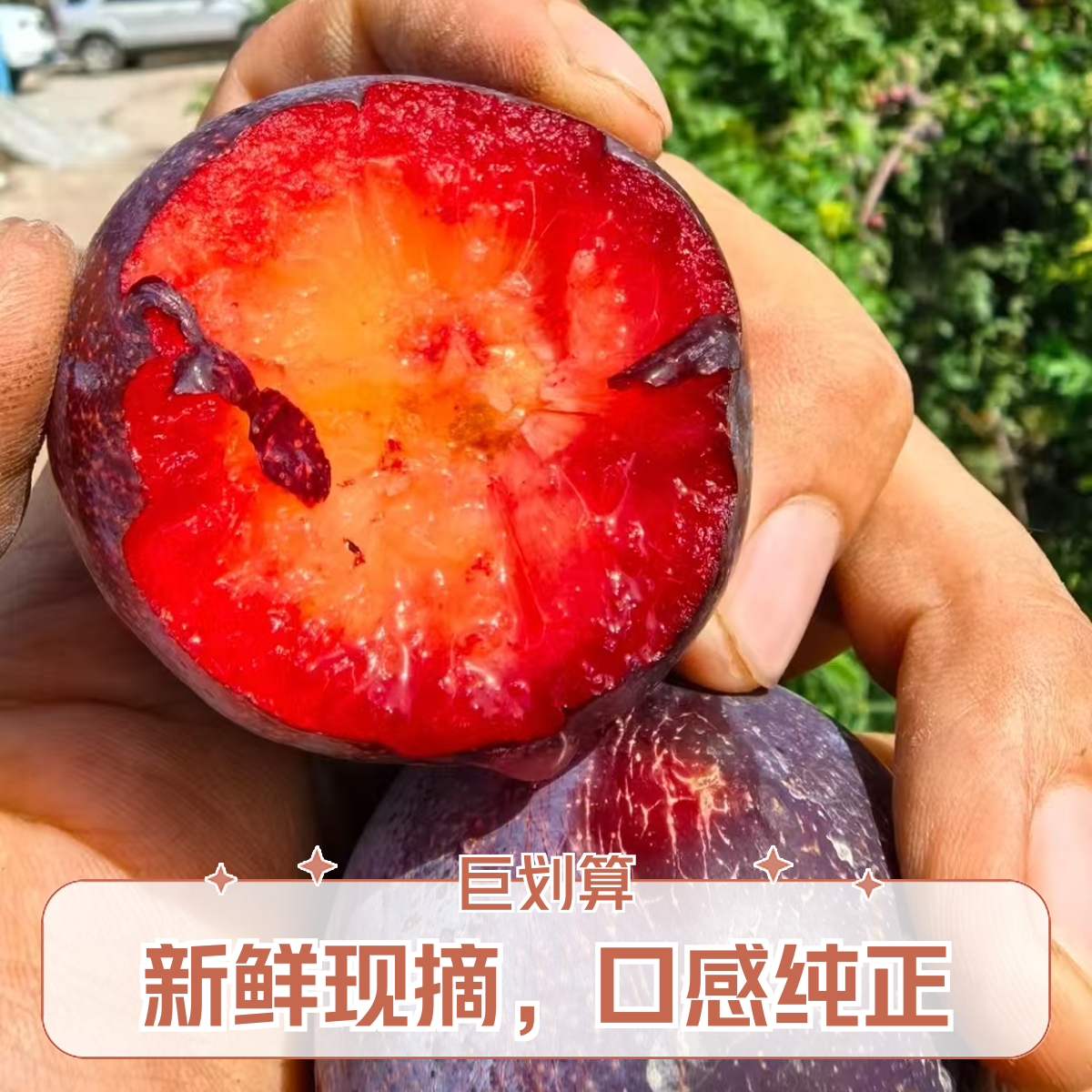 【精品】国丰七号李子 蜜甜口 原箱发货 净重3斤 京东顺丰包邮新疆维吾尔自治区
