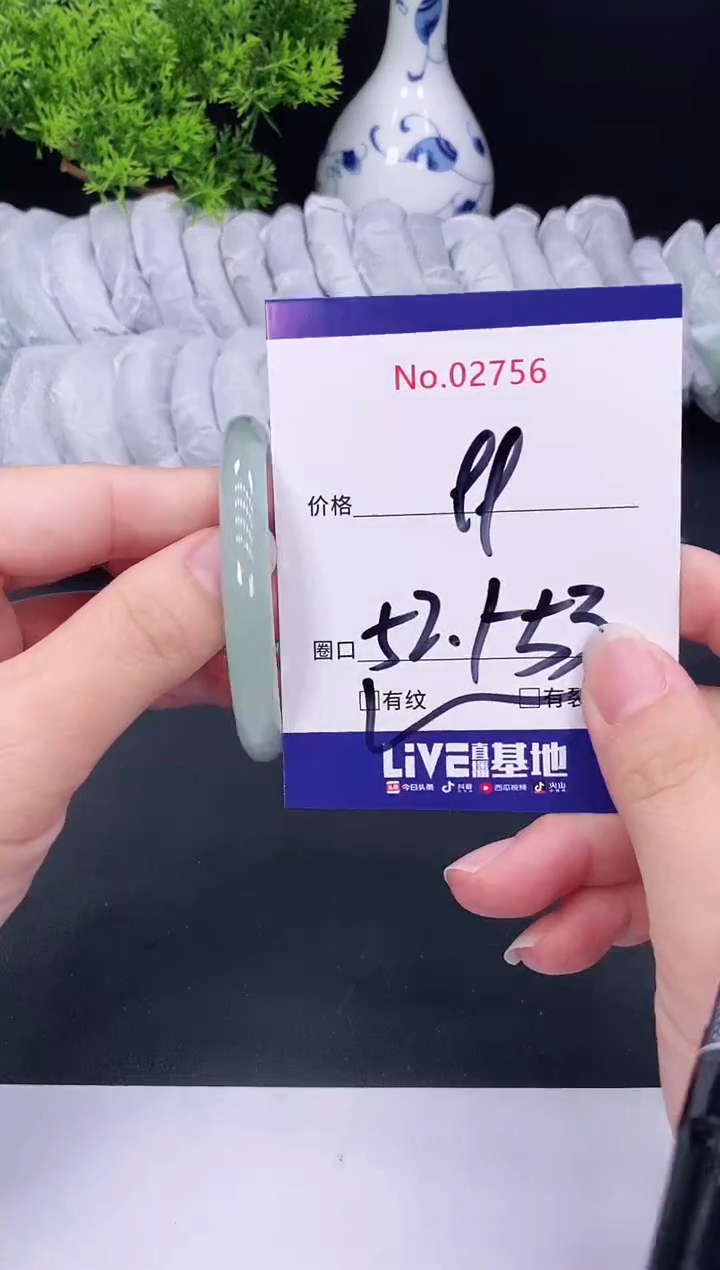 未镶嵌手镯翡翠2756