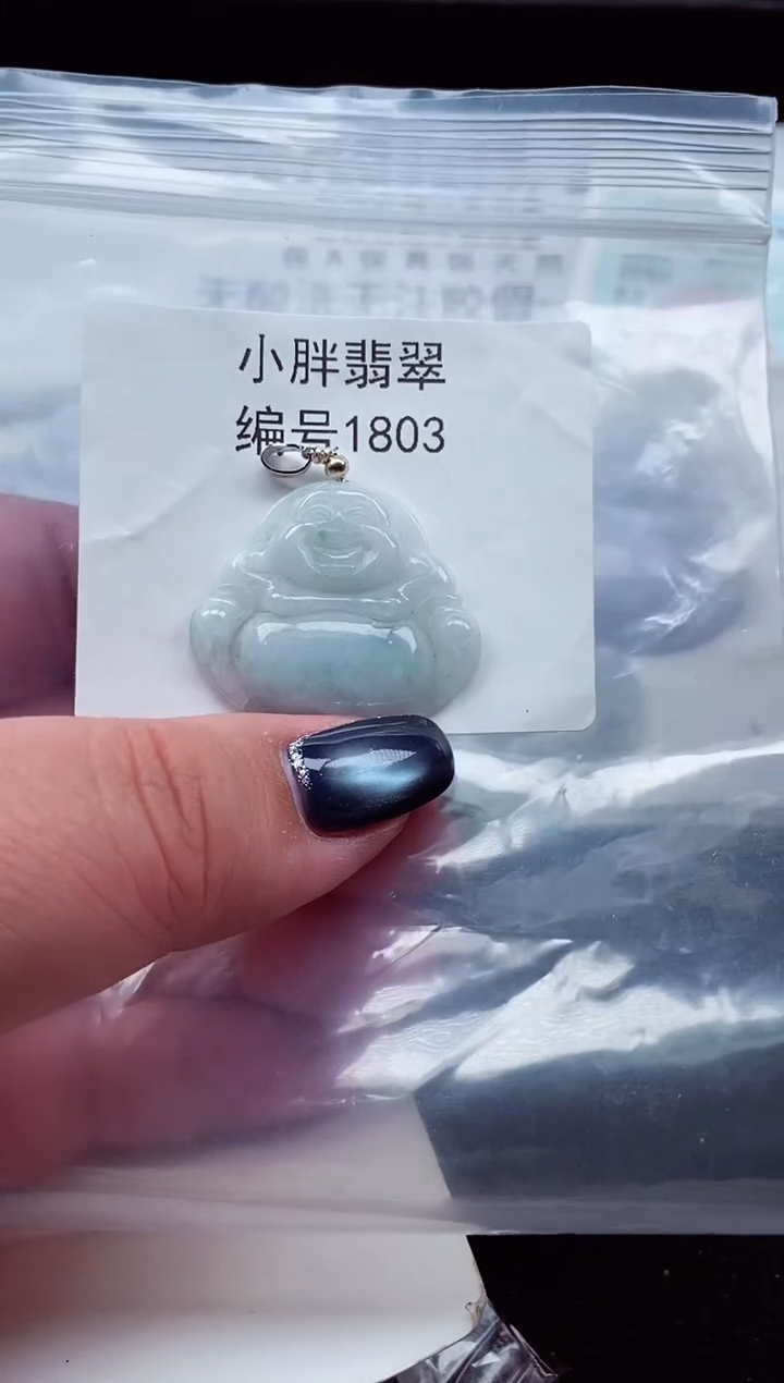 颈饰未镶嵌翡翠缅甸天然A货翡翠1803
