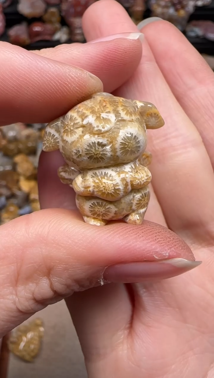 硅化珊瑚（珊瑚玉）未镶嵌颈饰602